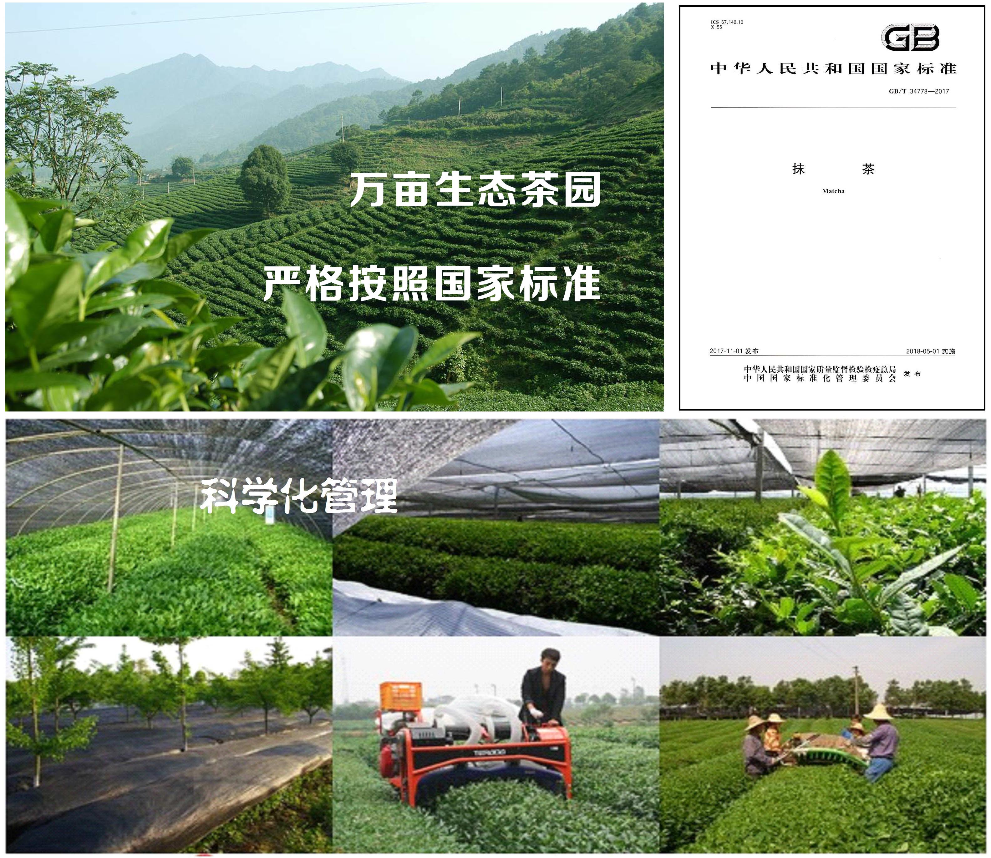 石抹香抹茶品質保證圖片
